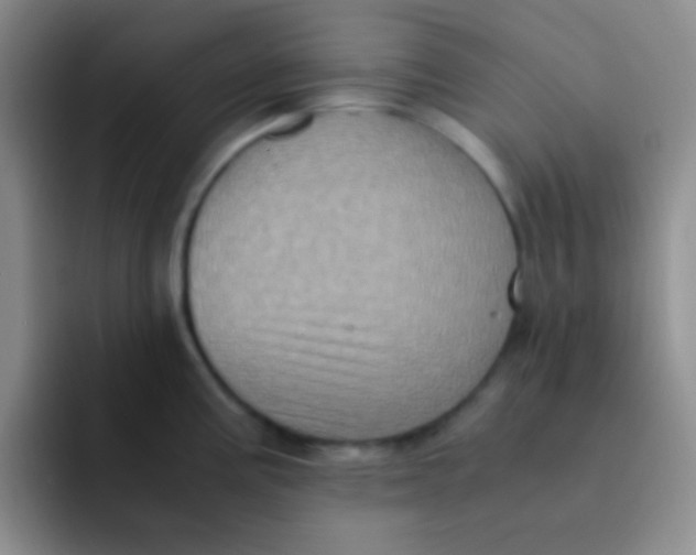 X0000091941195200709261927