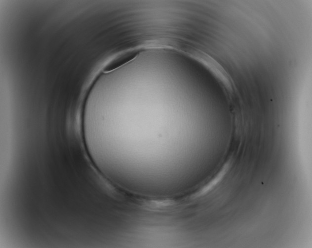 X0000091941196200709261927