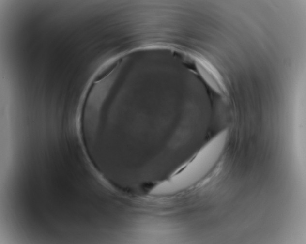 X0000091941197200709261927