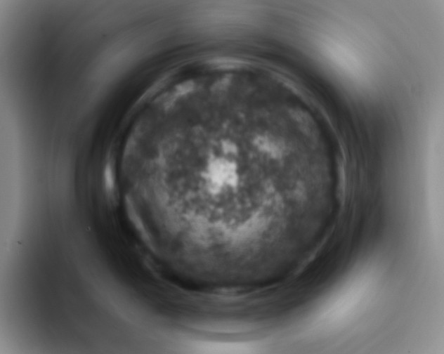 X0000091941198200709261927