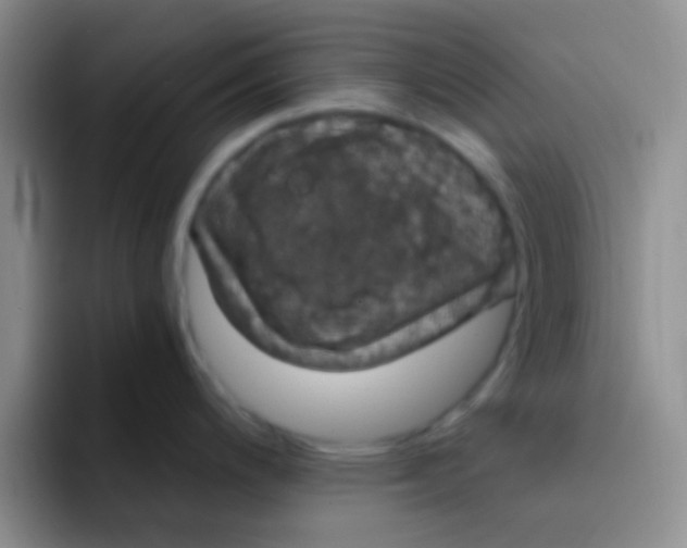 X0000091941200200709261927