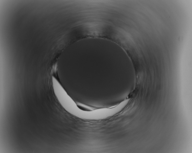 X0000091941202200709261926