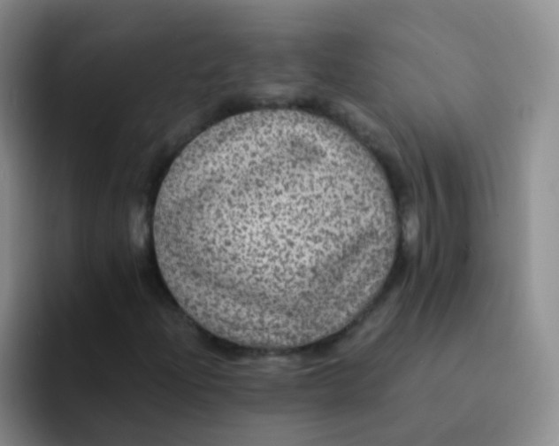 X0000091941204200709261926