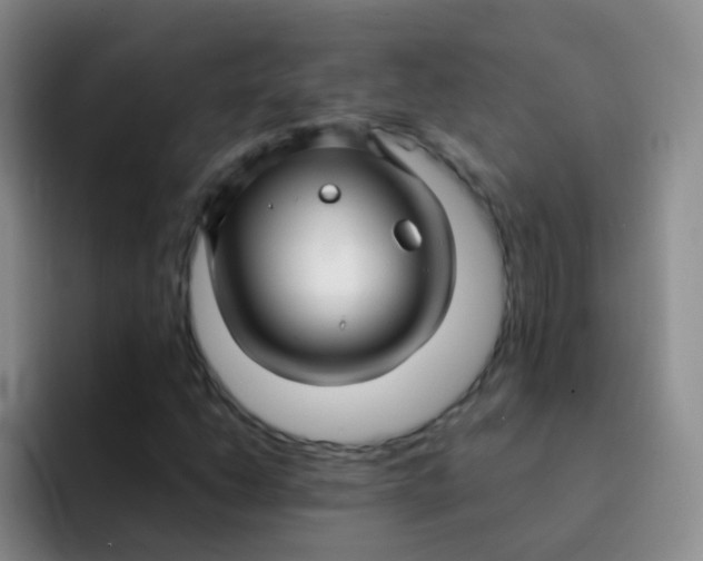 X0000091941206200709261926