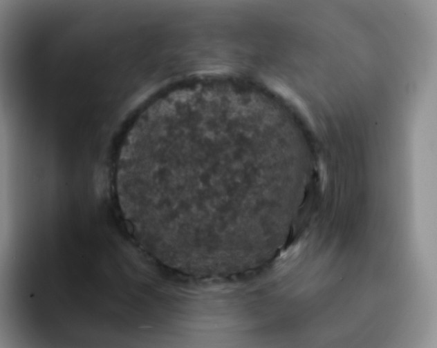 X0000091941208200709261926