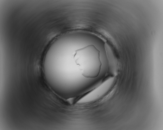 X0000091941210200709261926