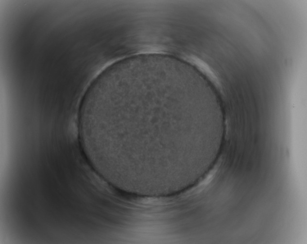 X0000091941212200709261926