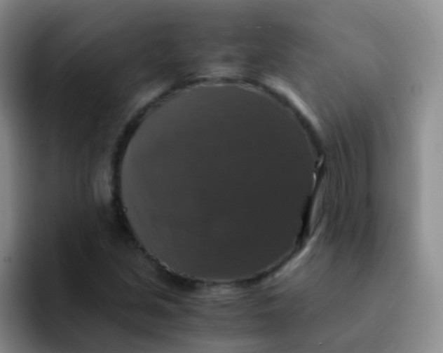 X0000091941213200709261926