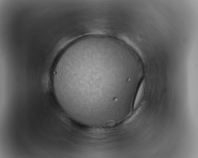 X0000091941215200709261926