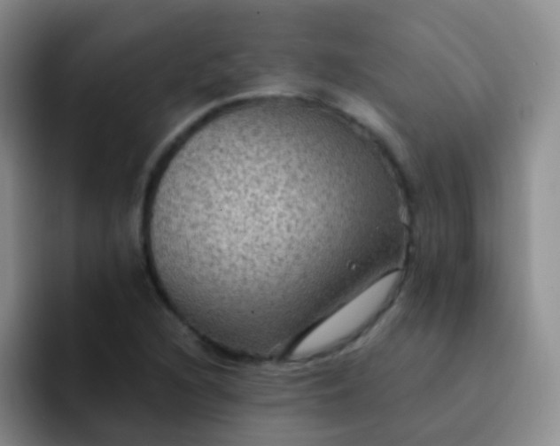 X0000091941216200709261926