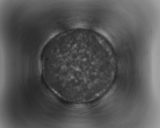 X0000091941219200709261926