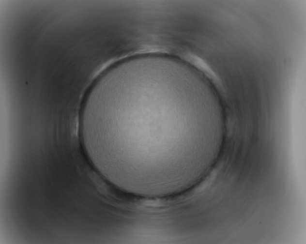 X0000091941220200709261926