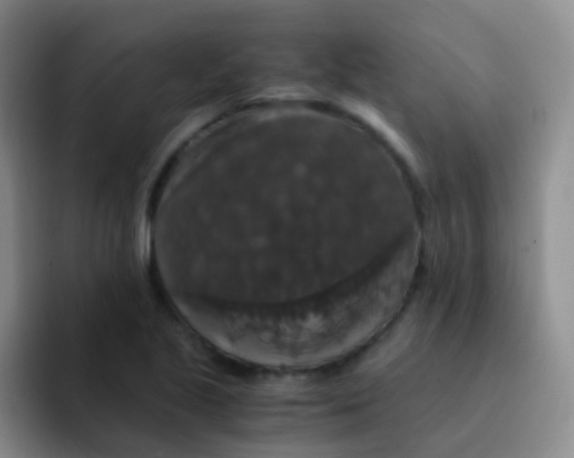 X0000091941221200709261926