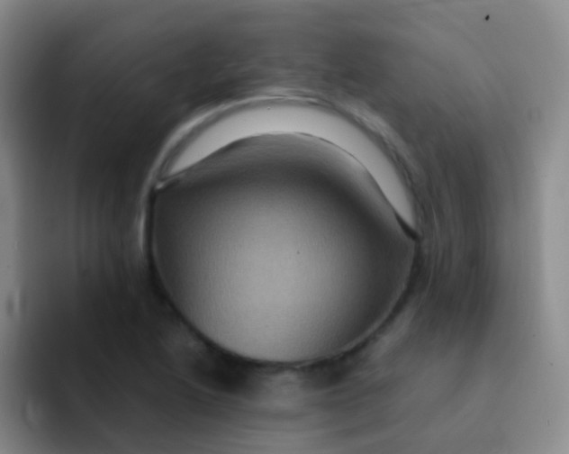 X0000091941222200709261926