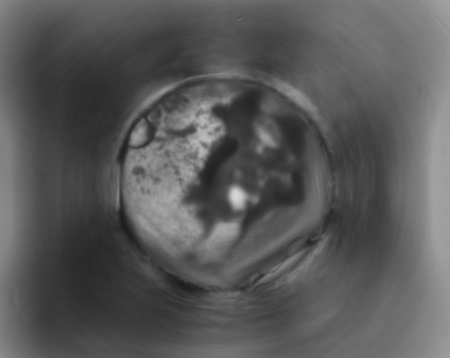 X0000091941223200709261926