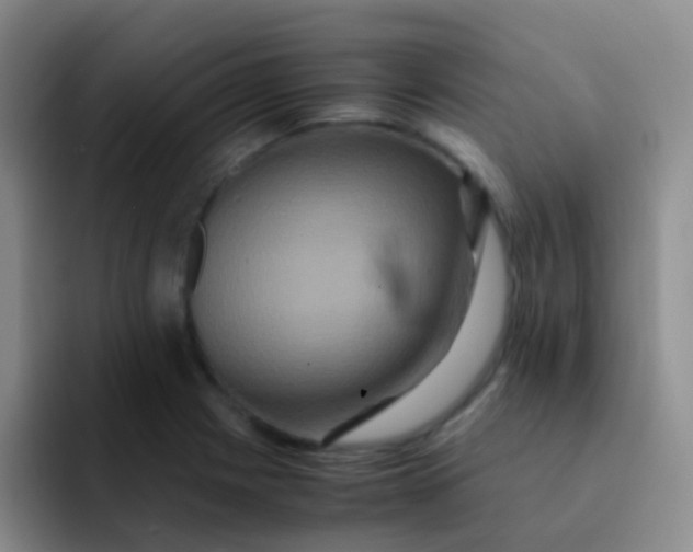 X0000091941225200709261926