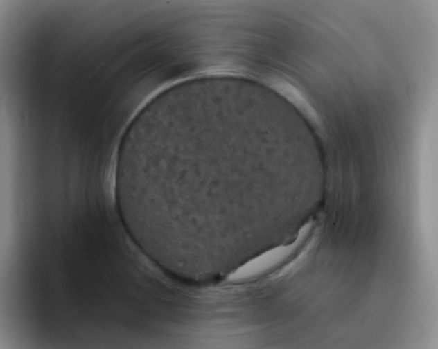 X0000091941228200709261926