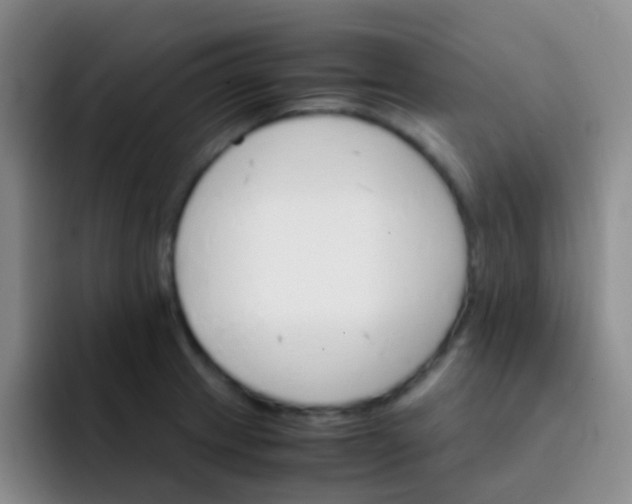 X0000091941233200709261926