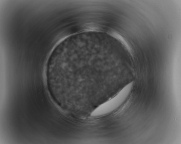 X0000091941235200709261926