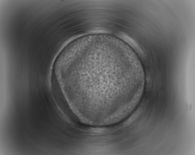 X0000091941236200709261926