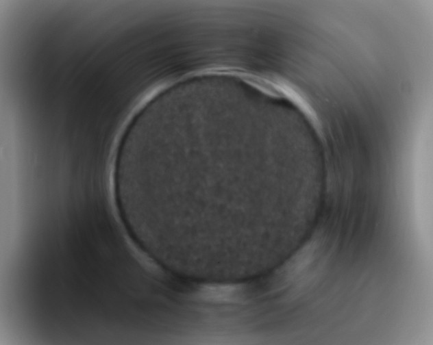 X0000091941237200709261926