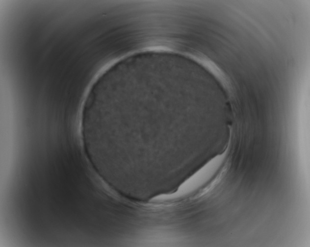 X0000091941240200709261926