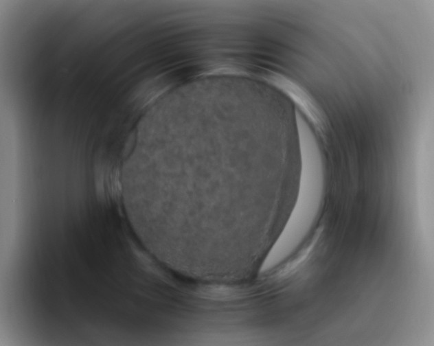 X0000091941241200709261927