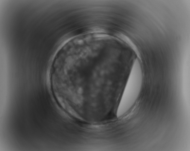 X0000091941243200709261927