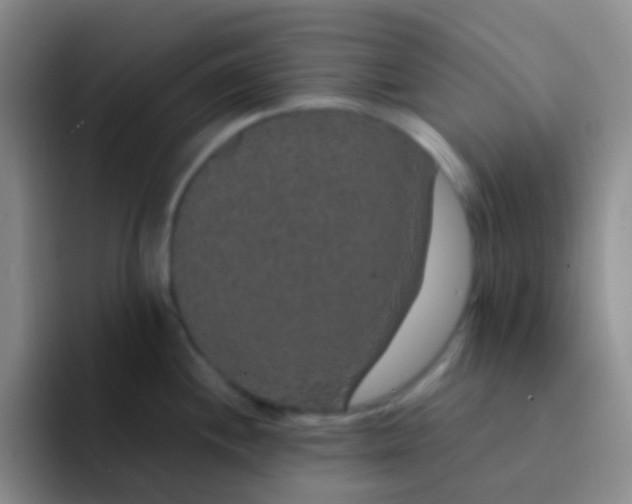 X0000091941244200709261927