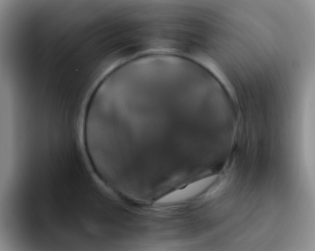 X0000091941245200709261927