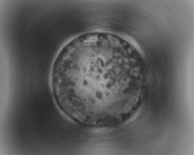 X0000091941247200709261927