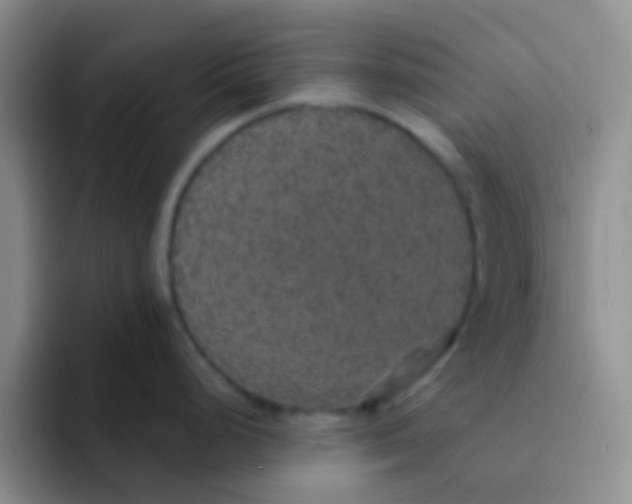 X0000091941248200709261927