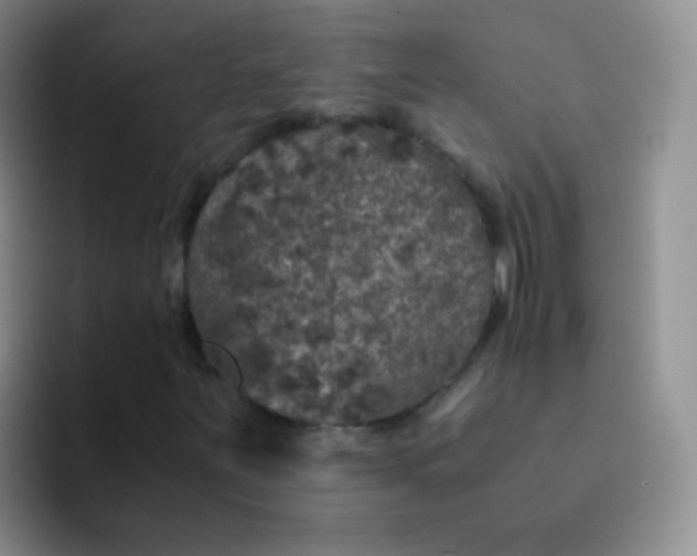 X0000091941251200709261926