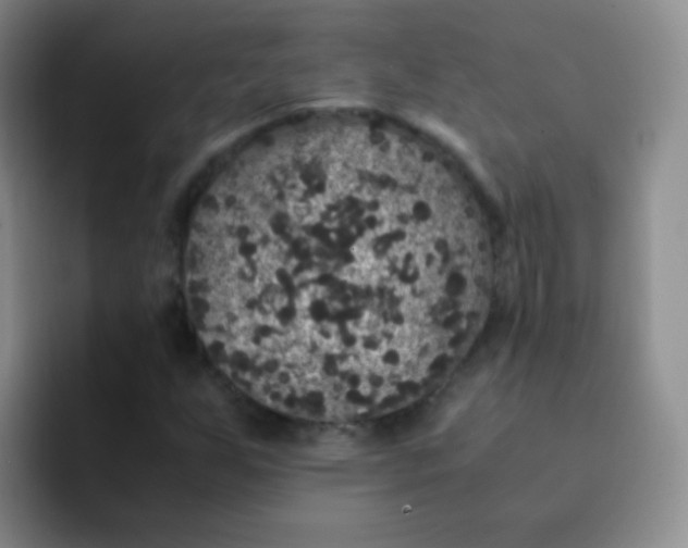 X0000091941255200709261926