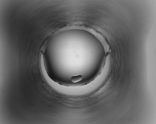 X0000091941257200709261926