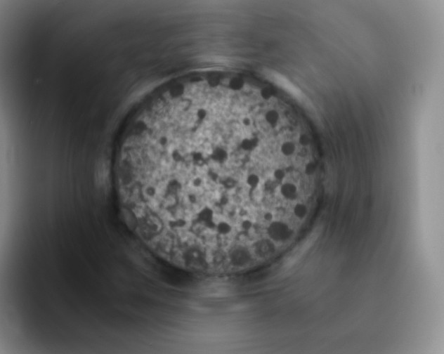 X0000091941259200709261926