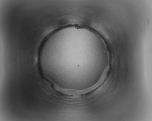 X0000091941261200709261926