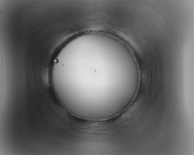 X0000091941262200709261926