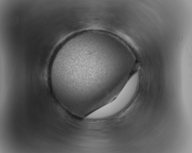 X0000091941264200709261926