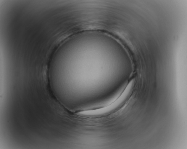 X0000091941265200709261926