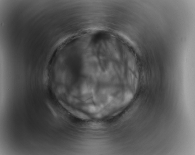 X0000091941266200709261926