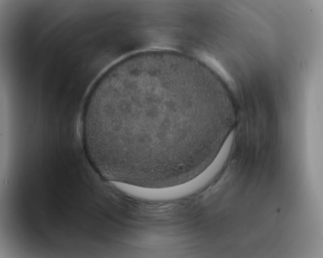 X0000091941268200709261926