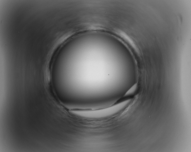 X0000091941269200709261926