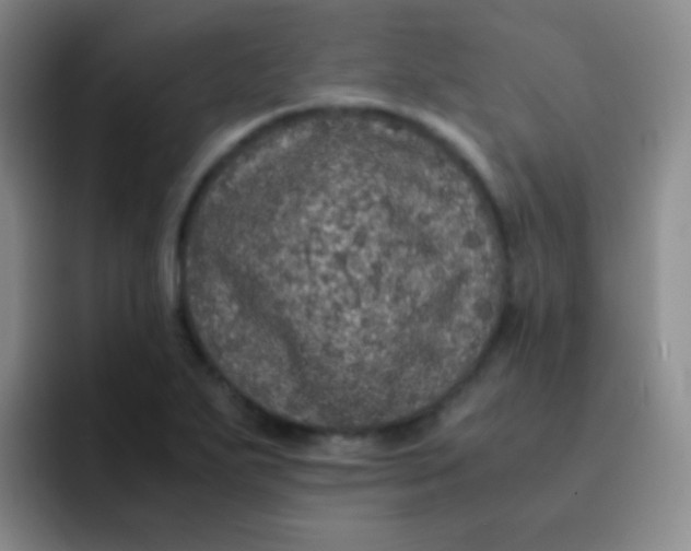 X0000091941271200709261926