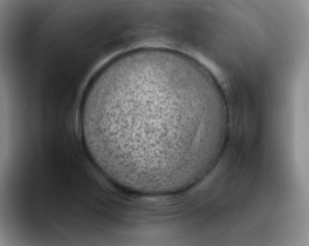 X0000091941272200709261926