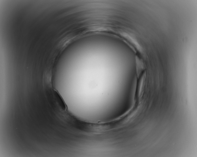 X0000091941273200709261926