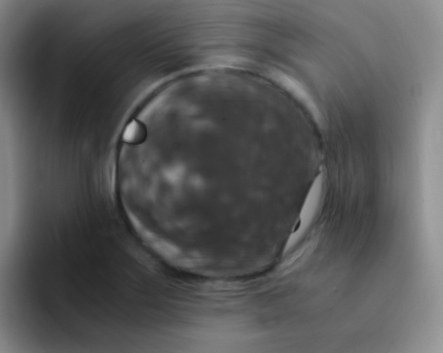 X0000091941275200709261926