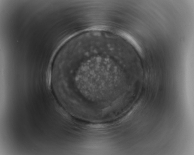 X0000091941276200709261926