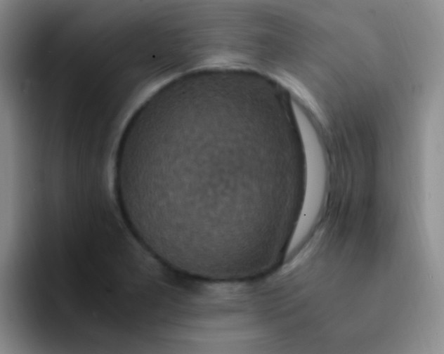 X0000091941277200709261926