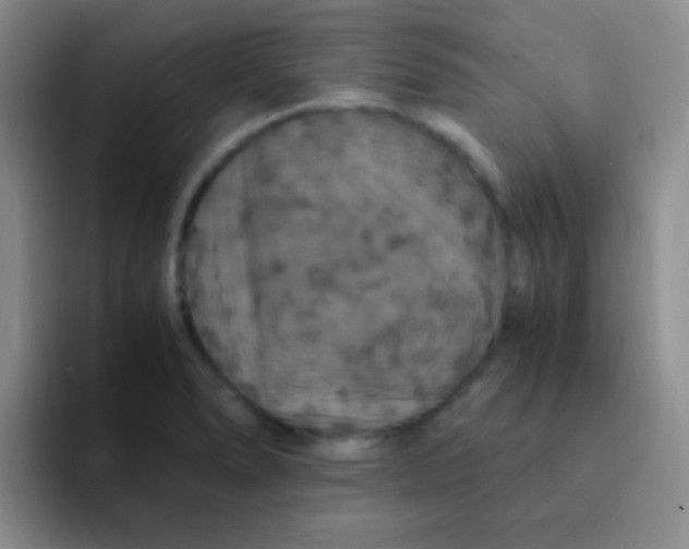 X0000091941278200709261926